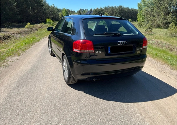 Audi A3 cena 19500 przebieg: 293500, rok produkcji 2008 z Nowy Dwór Gdański małe 92